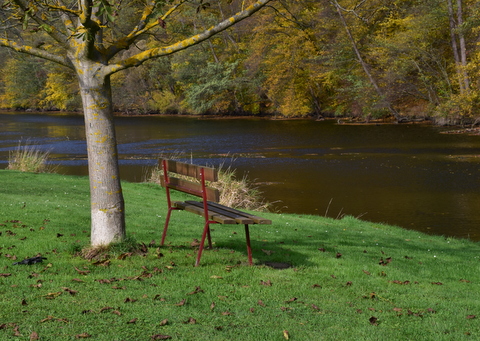 idylka u řeky