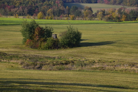 podzimní krajina