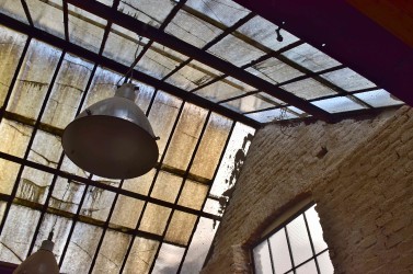 dsc_0029web.jpg