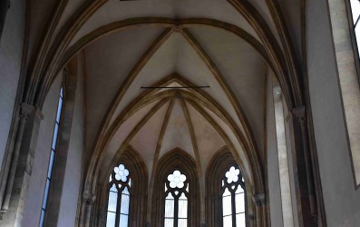 dsc_0102web.jpg