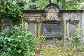dsc_0364web.jpg