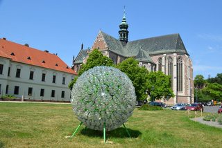 dsc_0971.jpg
