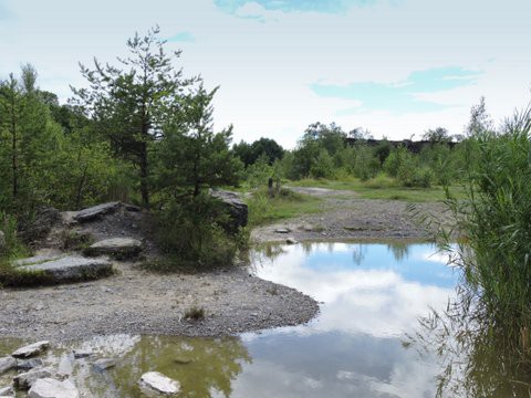 dscn1991.jpg