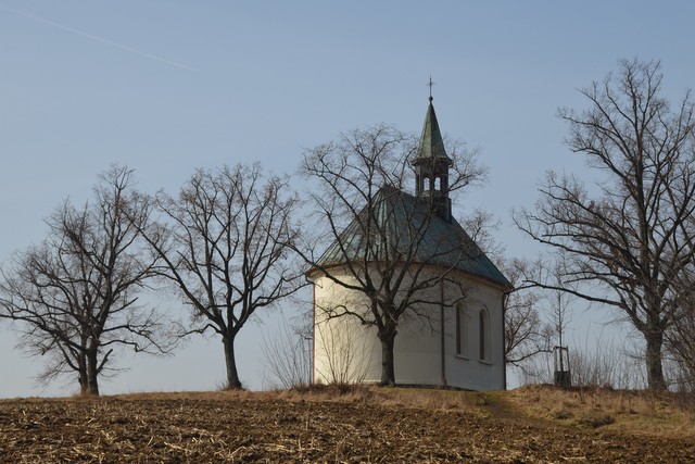 dsc_0028.jpg