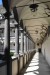 DSC_0048web